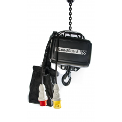 GIS - LP - LG Entertainment Chain Hoists for General Rigging Purposes to D8 PLUS guidelines